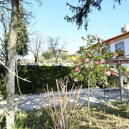 Quinta De Vila Verde- Paixao Ancestral, Turismo Rural Marco de Canaveses Exterior photo